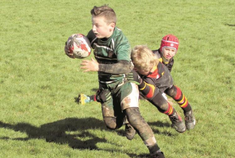 Slough RFC welcomes 650 rugby-playing boys and girls to Wynford Phillips festival