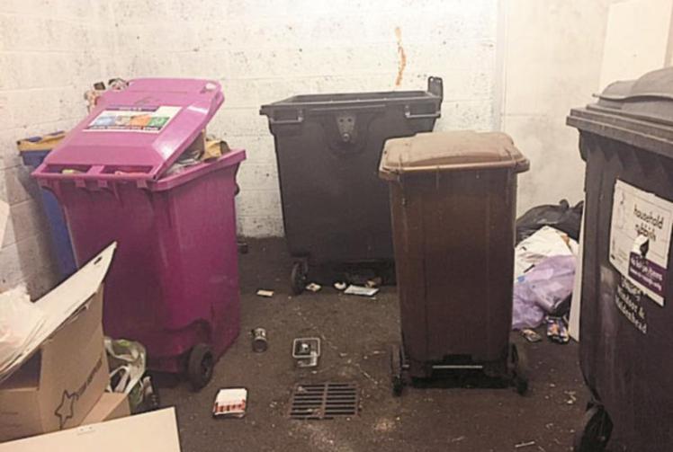Gaps remain in bin collection service, despite 'step in the right