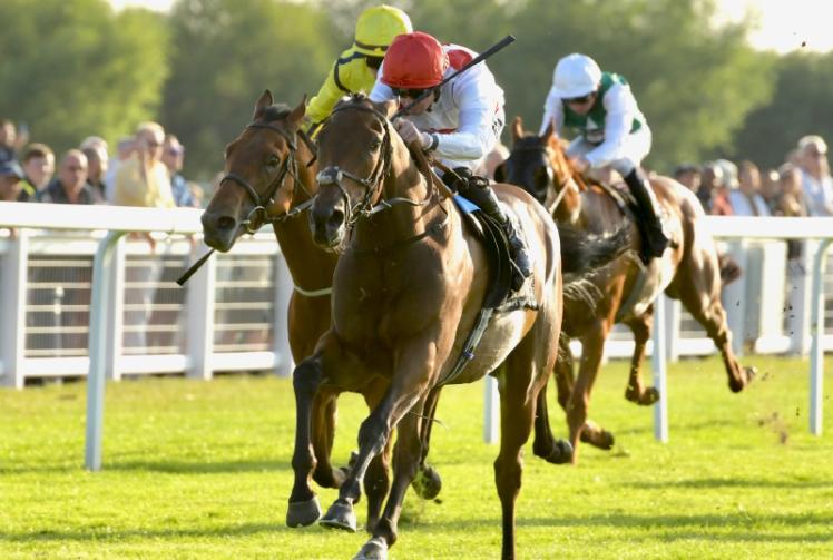 So Darn Hot wins Fitzdares Sprint in impressive fashion