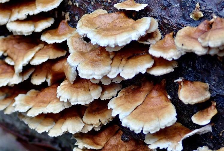 Sorry for my mistake