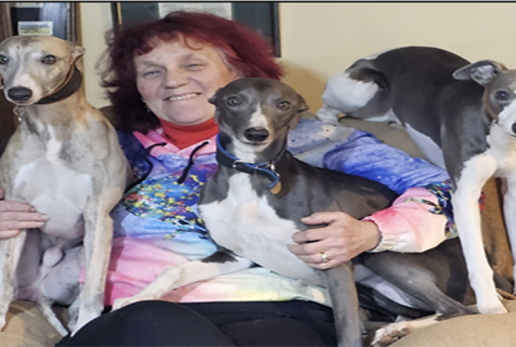 Dogs in the running to be champions at Crufts