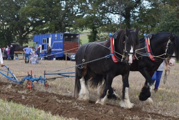 Perfect conditions for ploughing match